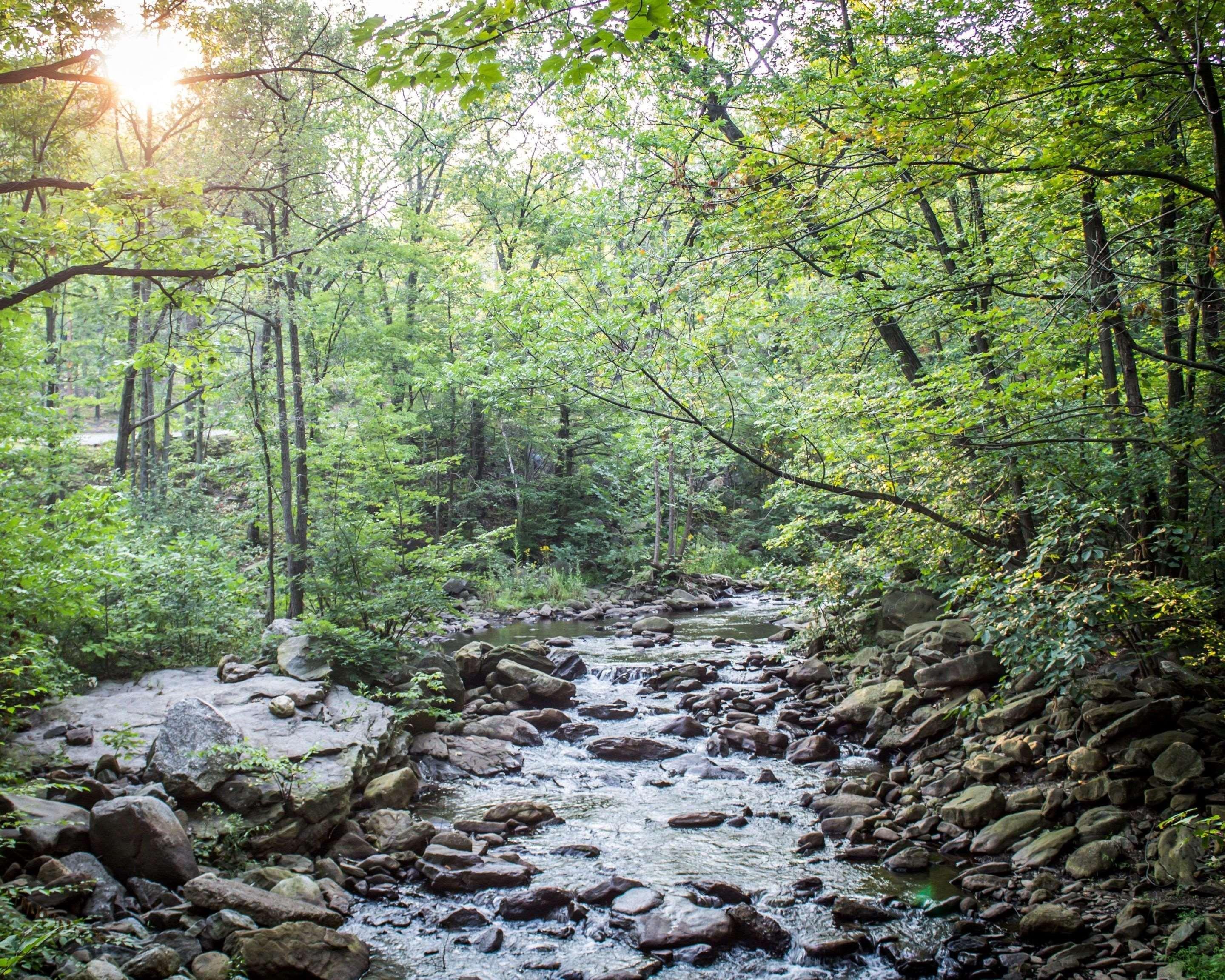 The Woodlands Inn Wilkes-Barre Ngoại thất bức ảnh